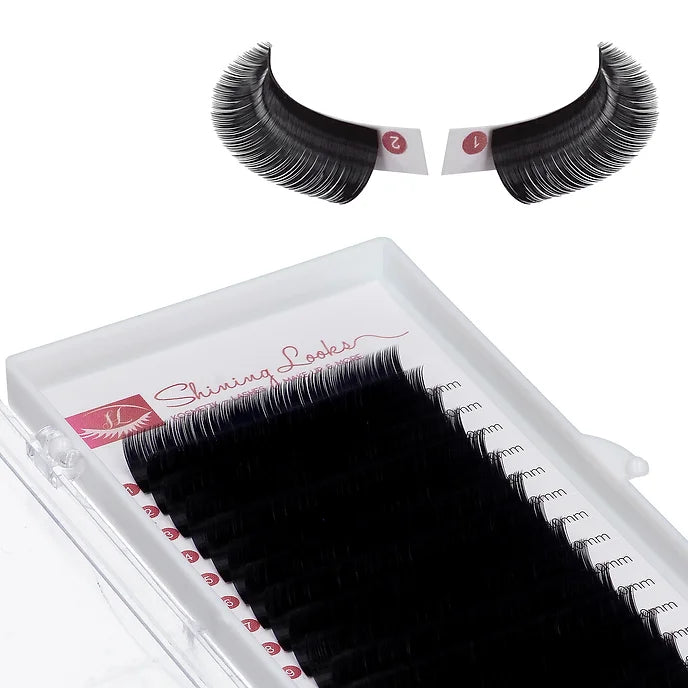 Silk Lashes D-Curl