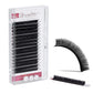 Lashes D-Curl / ALTE AUSFÜHRUNG