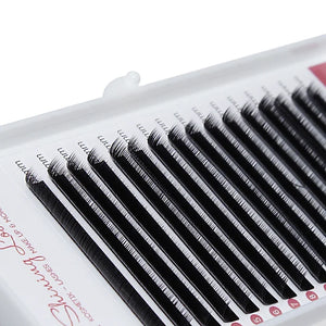 Silk Lashes C-Curl