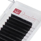 Lashes D-Curl / ALTE AUSFÜHRUNG