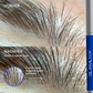 BROW BOOSTER – 4ML