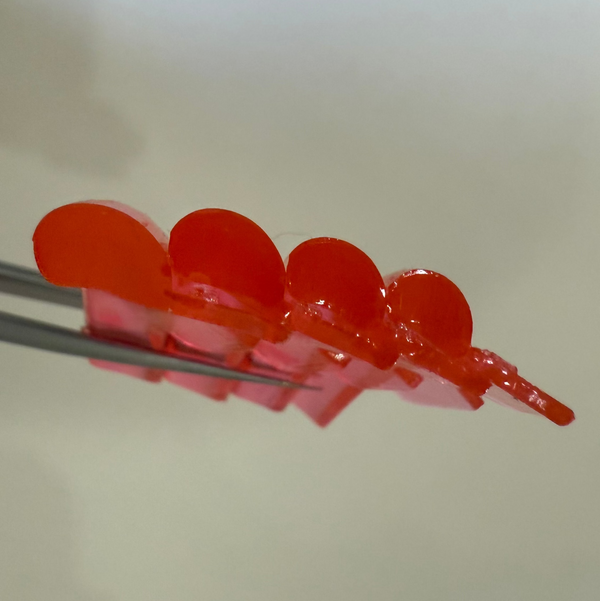 MESTAY® Berry Rod - C Curl (4 Größen)