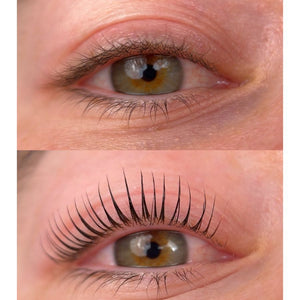 Korean Lash Lift Kit - The Lash Oasis