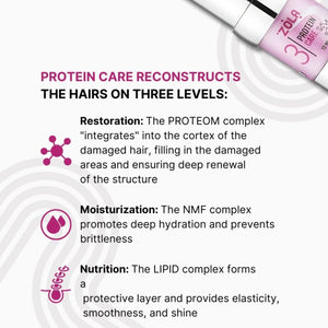 Protein Reconstruction Set von ZOLA